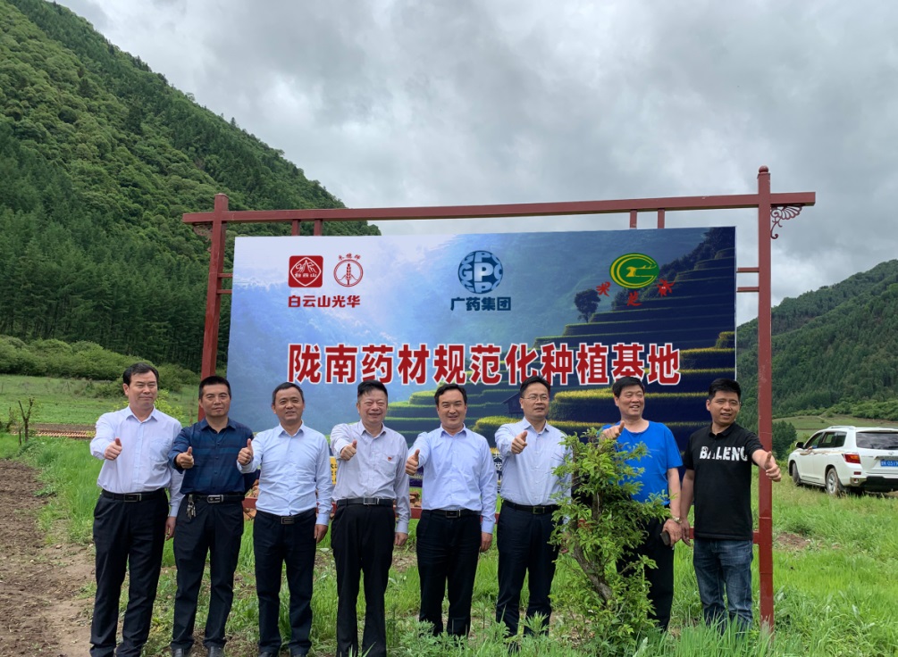 药材好，药才好 ——白云山幼柴胡颗粒北柴胡规范化种植基地正式揭牌！