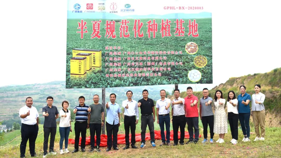 白云山光华公司实地调查调研中药材规范化基地